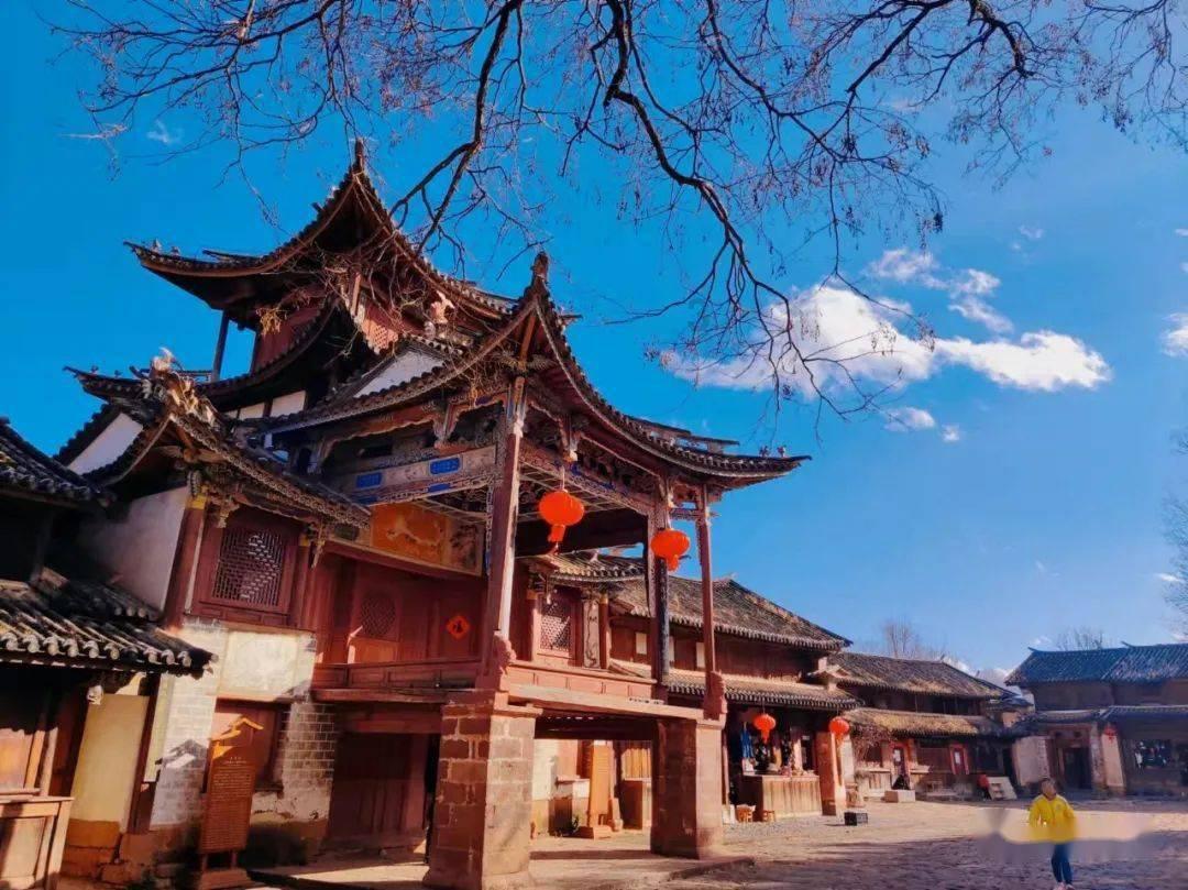了解太阳花种子怎样种,打造高效学习社群